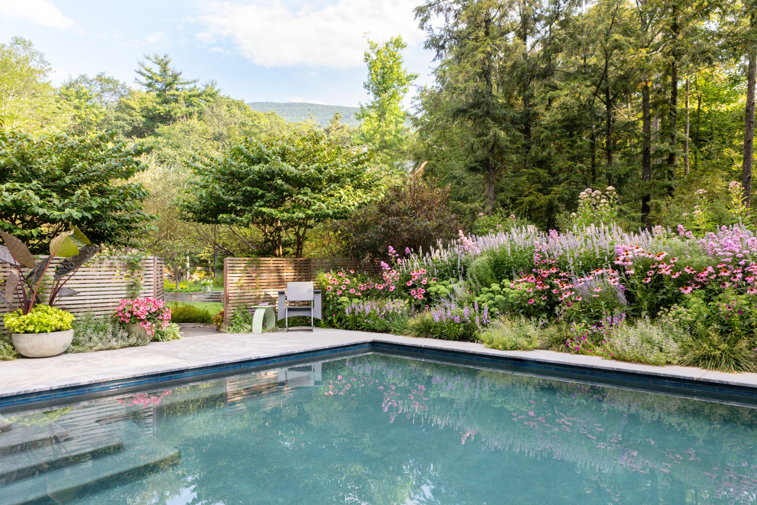 Best Pool & Landscape Design Ideas For Your Summer